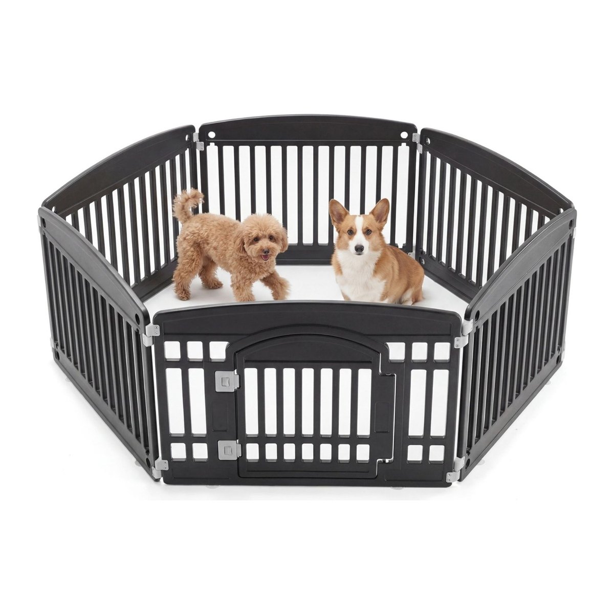 Pet Fence